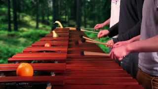 Legend of Zelda  Dark World Theme on Marimba [upl. by Eissirk798]