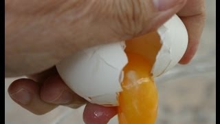 How To Crack An Egg With One Hand  Plus Two More Egg Tips [upl. by Hal]