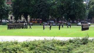 Parade militaire Danoise [upl. by Nomrac681]