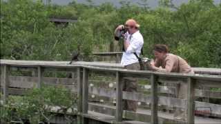 Everglades National Park 3minute Tour [upl. by Hayyifas]