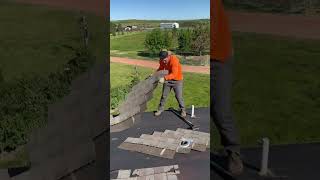 Roofing ASMR Day 81 💪roofing roofingcontractor roofer fyp bluecollarcontent contentcreation [upl. by Sven]