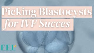 Hatching Blastocyst Success Rates [upl. by Ikairik201]