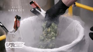 I Freeze Weed With Liquid Nitrogen for a Living [upl. by Kidd745]