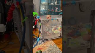 Baby Jive baby babyvideos funny happy videoshort videos [upl. by Ennagem]