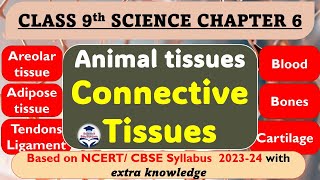 Connective Tissues  Blood  Bones  Cartilage  Class 9 Science Chapter 6  ScienceEdustation [upl. by Gallagher467]