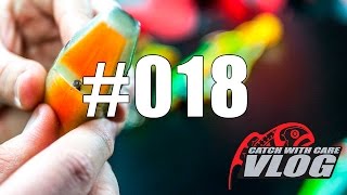 Fine Tuning  CWC VLOG 018 [upl. by Ahsiema]