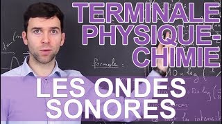 Les ondes sonores  PhysiqueChimie  Terminale  Les Bons Profs [upl. by Oisangi443]