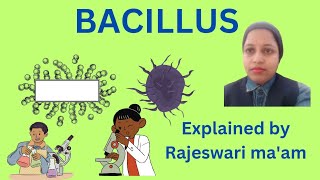 what is Bacillus [upl. by Oby126]