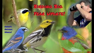 Birding Big Year Update Inland Fallout [upl. by Tillman]