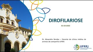 AULA DIROFILARIOSE [upl. by Greenland]