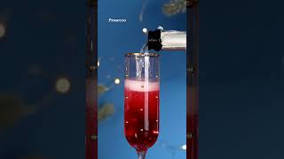 Lets Make a Cranberry Mimosa  Christmas Mimosa Recipe [upl. by Goth510]