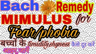 Bach Flower Remedy MIMULUS Fear Phobia  Anxiety ड़र  चिंता [upl. by Atilrac]