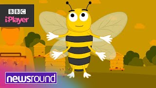 Why are BEES so IMPORTANT  World Bee Day  Newsround [upl. by Mazman]