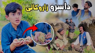 Da Sro zaro Kali  Pashto Funny Video  Pashto Drama 2024 [upl. by Novej]