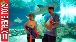 Teleport Trouble Part 2 Nerf Battle in the Aquarium [upl. by Gallager]