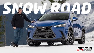 2022 Lexus NX 250 AWD Review and Snow Mountain Adventure [upl. by Dodson622]