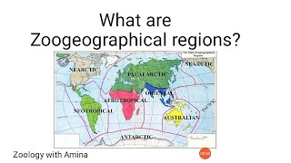 What are zoogeographical regions  How to draw zoogeographical regions map [upl. by Thompson]