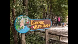 Ginnie Springs Fl [upl. by Lulita233]