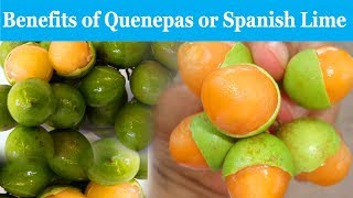 10 Incredible Benefits Of Quenepas  Health Benefits  Smart Your Health [upl. by Lucienne429]