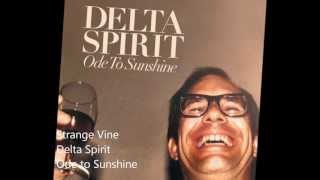 Delta Spirit  Strange Vine [upl. by Htidirrem738]