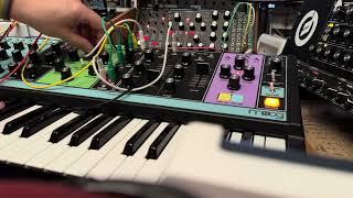 Moog Matriarch Sidechain compression [upl. by Adella]