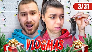 NAŠLI SMO JOŠ MIŠEVA U KUĆI VLOGMAS 331 [upl. by Monsour]