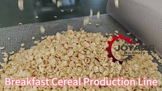 Breakfast Cereal Processing Line [upl. by Nesto]