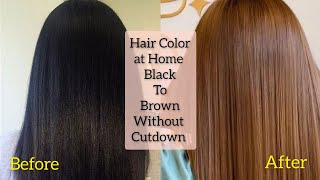 How To Apply Hair Color at Home  Black To Brown Hair Without Cutdown  Keune Hair Color [upl. by Leyameg]