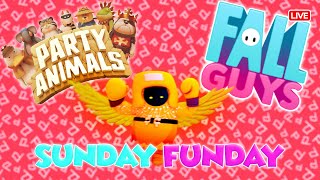 Party Animals X Fall Guys Full Maara Maari With Friends😘हिंदी😘partyanimals fallguys [upl. by Yeoz]