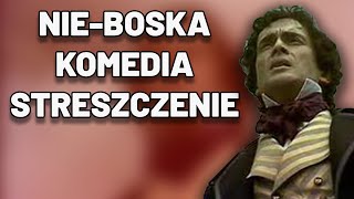 NieBoska Komedia  Streszczenie Egzamin Matura Katrkówka Sprawdzian [upl. by Ku553]