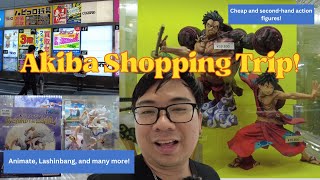 Akihabara Anime Shop Guide Animate Lashinbang and more Akiba Electric Town [upl. by Gaye]