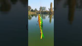 Crazy Fishing Lure🔥🎣 lure lurefishing fishing fishingvideo crazy pesca fish spinning shorts [upl. by Edwin]