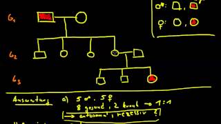 klassische Genetik 06  Stammbaumanalyse [upl. by Durrett]
