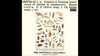 The Chitinous Ensemble  Chitinous 1971 FULL ALBUM  AvantGarde Jazz [upl. by Renaud]