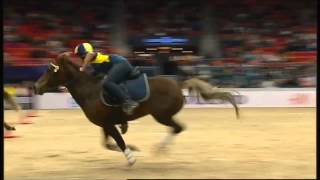 Mounted Games  Gothenburg Horse Show  2015 [upl. by Nimesay]