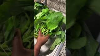 Callaloo [upl. by Darraj]