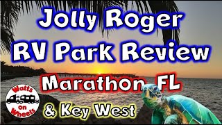 Jolly Roger RV Park Review  Marathon FL  Key West  Where to Eat Sea Turtle Hospital [upl. by Beyer312]