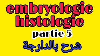 cours embryologie histologie SVT S1 partie 5 شرح بالدارجة [upl. by Cynara]