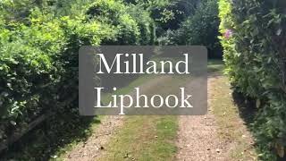 Borden Wood Milland Liphook [upl. by Joel]