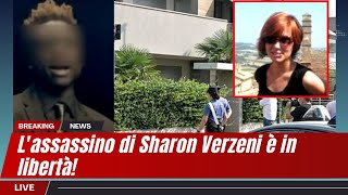 Liberato lAssassino di Sharon Verzeni Errore Giudiziario o Verità Nascosta [upl. by Ellga]