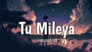 Tu Mileya  Darshan Raval  New Lofi Version  SlowedReverb  Mind Relex Mashup Music [upl. by Isnam484]