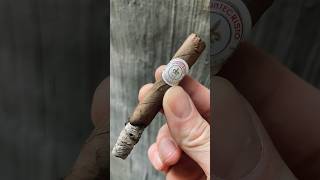 Smoking The Montecristo White Series Cigar cigar cigars cigarillos cigarstyle asmr viral [upl. by Lledniuq272]