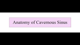 Anatomy of Cavernous Sinus [upl. by Ailla495]