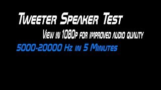 Tweeter Speaker Test [upl. by Alidus]