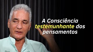 O Segredo para Despertar a Consciência  Satsang com Alexandre Magno [upl. by Lorenza]