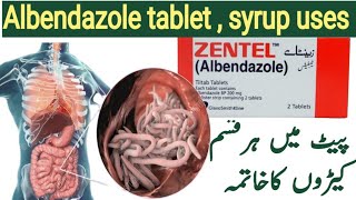 zentel tablet use in urdu  Albendazole tablets uses [upl. by Nabal938]