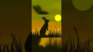 Watership down [upl. by Tigdirb]