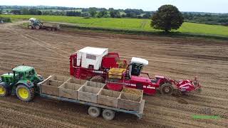 Spillanes Gibbstown Farm digging spuds and sowing winter crops [upl. by Nyladam]