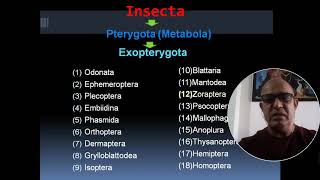 SURVEY OF INSECTSPTERYGOTAEXOPTERYGOTA [upl. by Marbut]