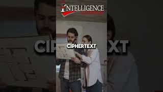 What is the difference between a ciphertext and plaintext [upl. by Egiarc924]